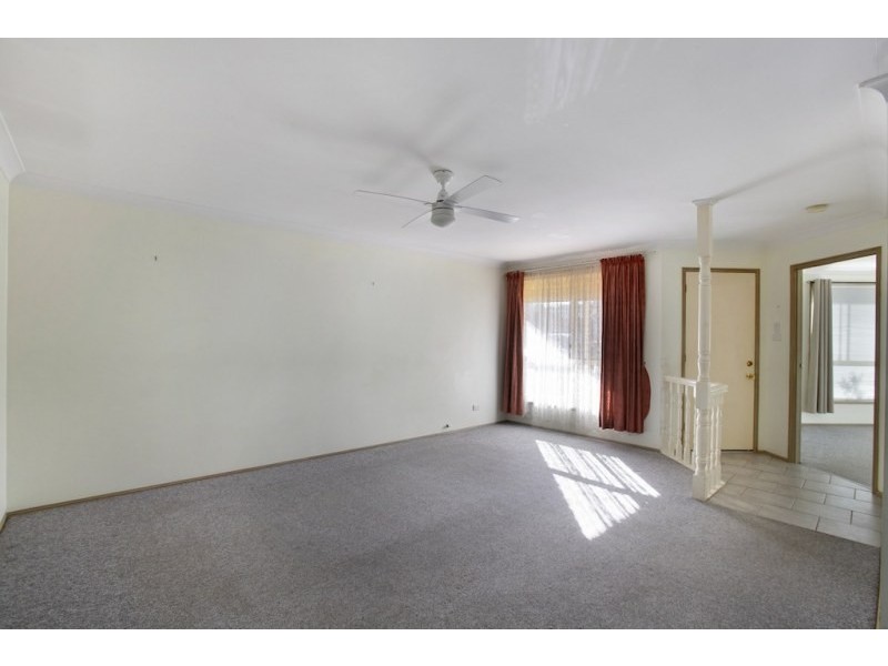 8 Welsh Place, Narellan Vale NSW 2567