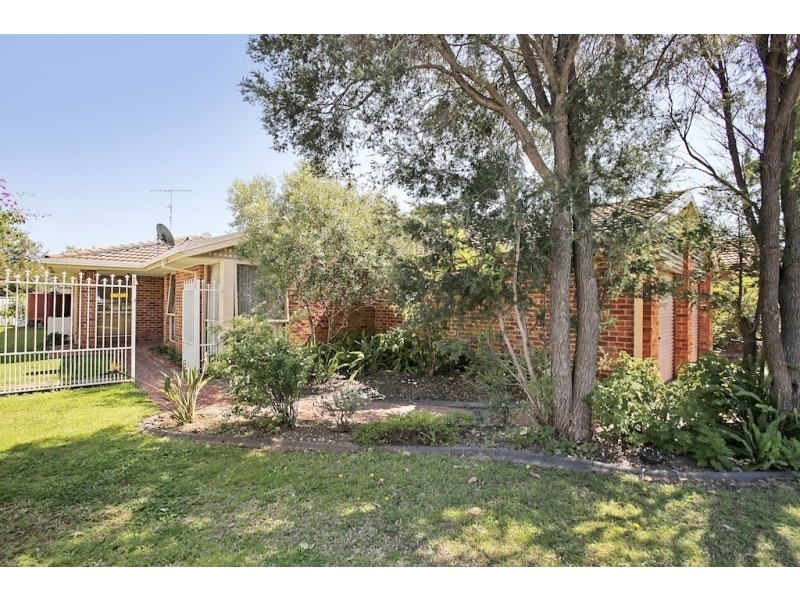 11 Molle Place, Narellan Vale NSW 2567