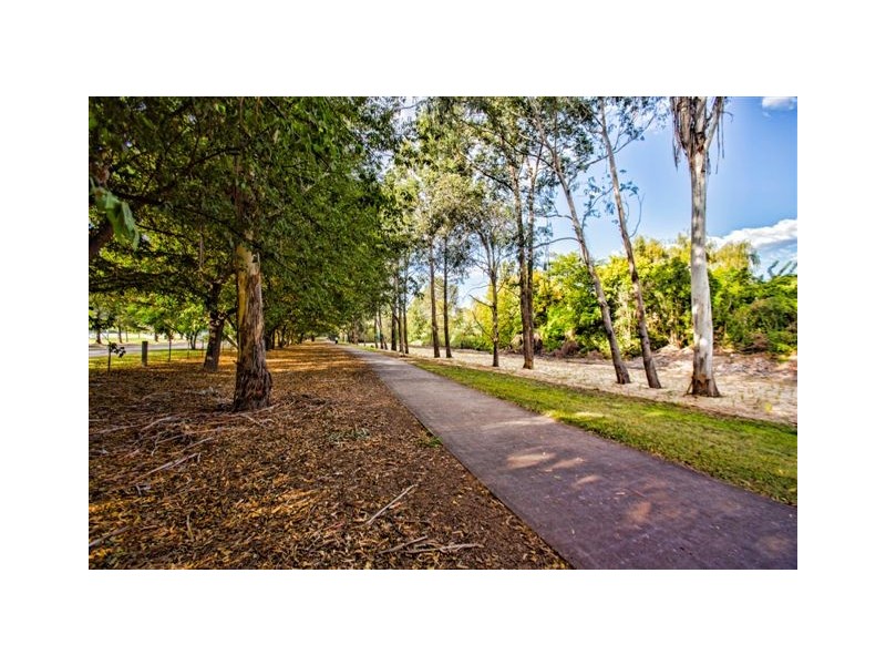 41 Alpha Road, Camden NSW 2570