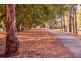 41 Alpha Road, Camden NSW 2570