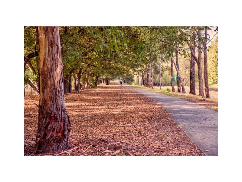 41 Alpha Road, Camden NSW 2570