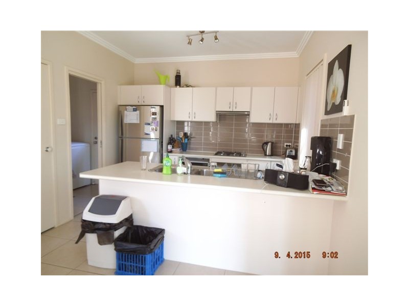 43 Tristiana Street, Mount Annan NSW 2567