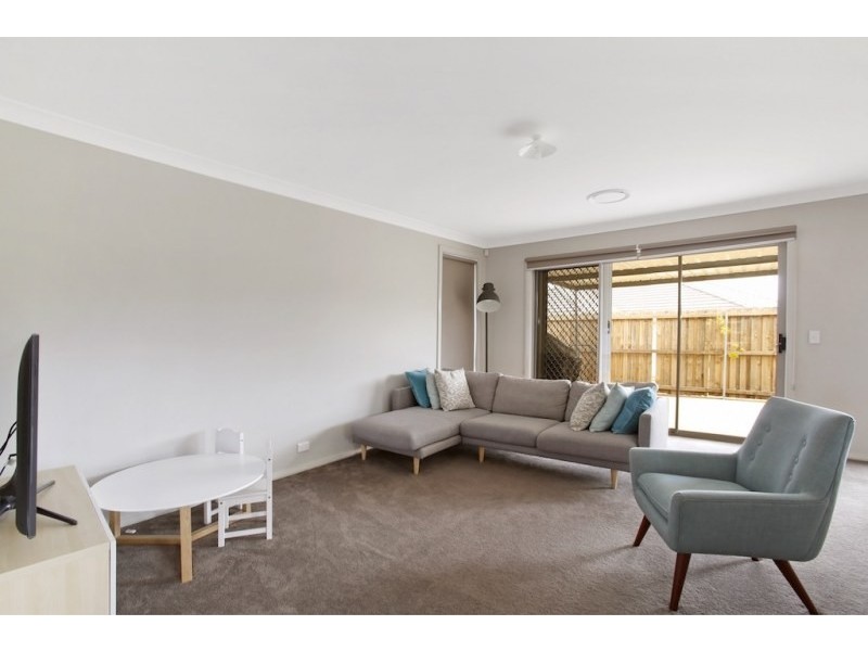 17 Gallina Drive, Spring Farm NSW 2570