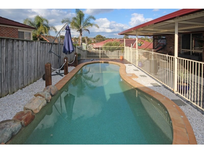 13 Ficus Place, Narellan Vale NSW 2567