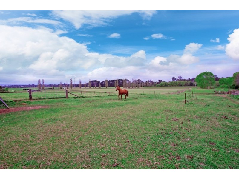 6 Purcell Street, Elderslie NSW 2570