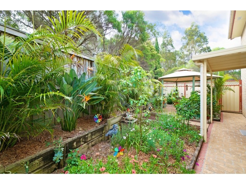 17 Edward Howe Place, Narellan Vale NSW 2567