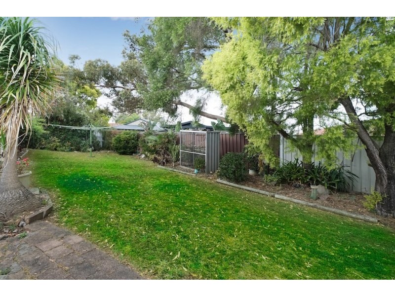 6 Starr Close, Camden NSW 2570