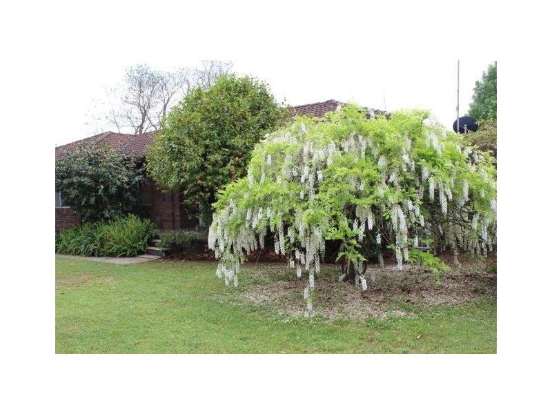 36 Milford Road, Ellis Lane NSW 2570