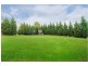 3 The Glade, Kirkham NSW 2570
