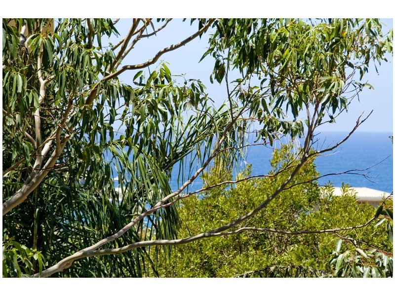 Unit 1/21 Francis Street, Bondi Beach NSW 2026