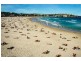 2/54 Brighton Boulevarde, Bondi Beach NSW 2026