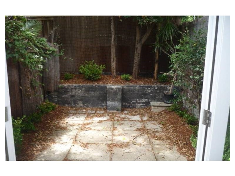 3 Taylor Street, Paddington NSW 2021