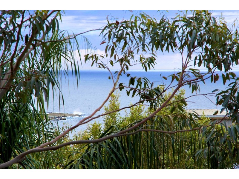 1/21 Francis Street, Bondi Beach NSW 2026