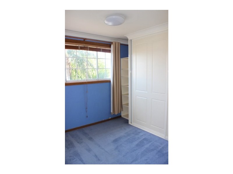 19 Cleland Street, Mascot NSW 2020