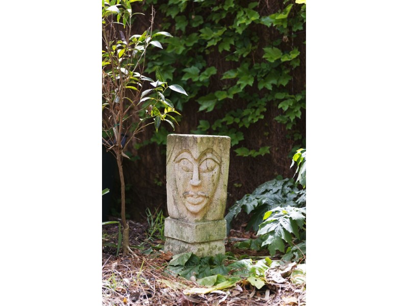 9 Hillcrest Place, North Manly NSW 2100