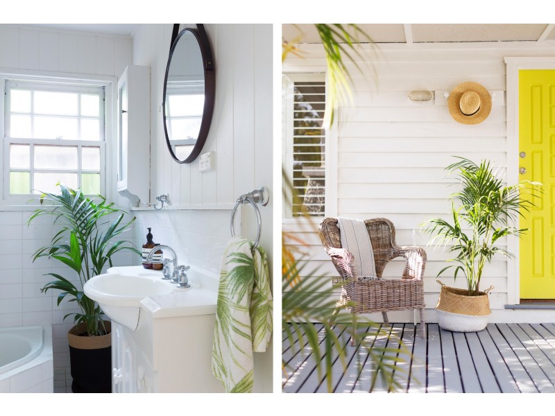 57 Wyndora Avenue, Freshwater NSW 2096