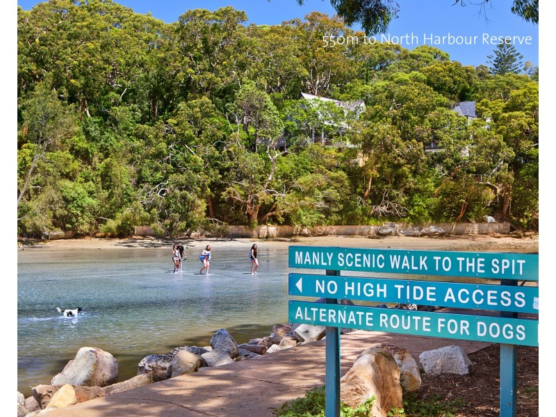 185 Woodland Street, Balgowlah NSW 2093