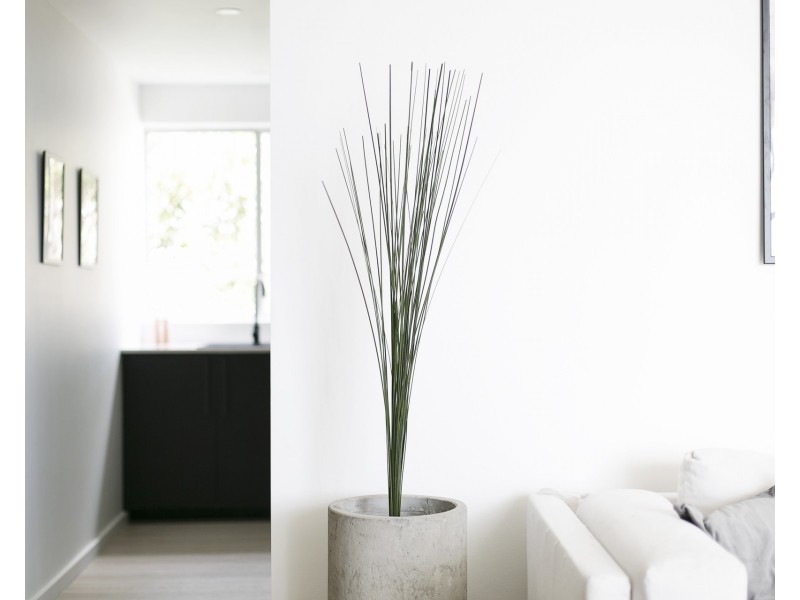 10/30 Malcolm Street, Narrabeen NSW 2101