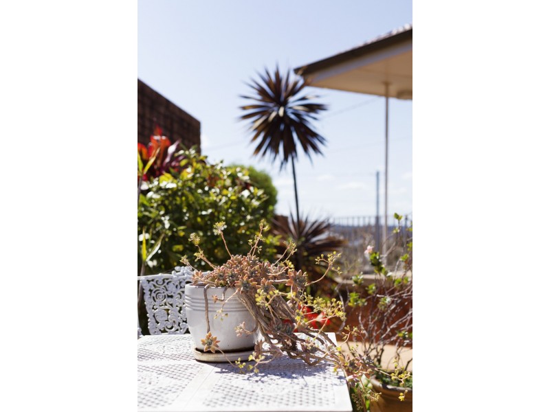 29 Cooper Close, Beacon Hill NSW 2100