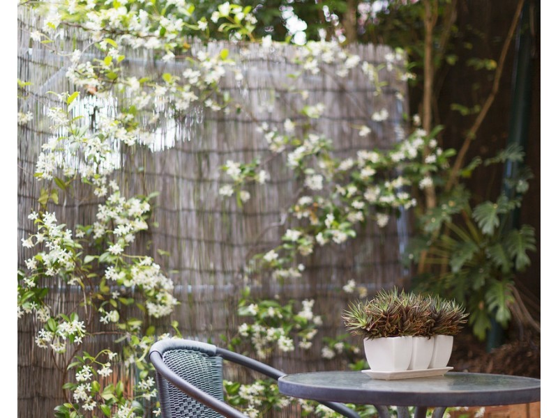 36b Serpentine Crescent, North Balgowlah NSW 2093