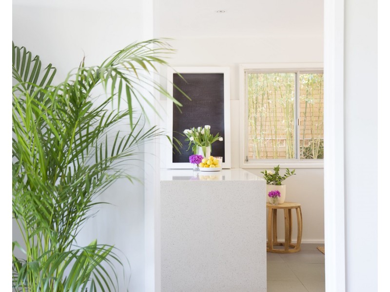 10 Crawford Place, Beacon Hill NSW 2100