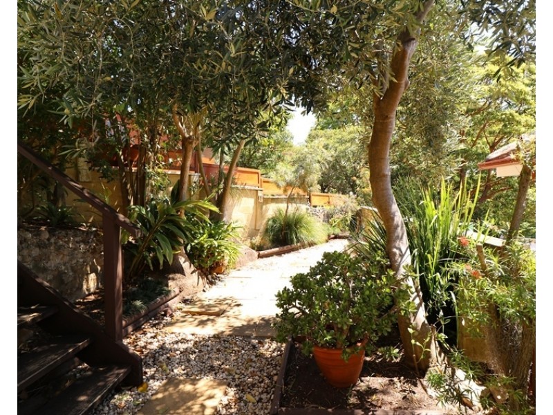 29 Daintrey Street, Fairlight NSW 2094