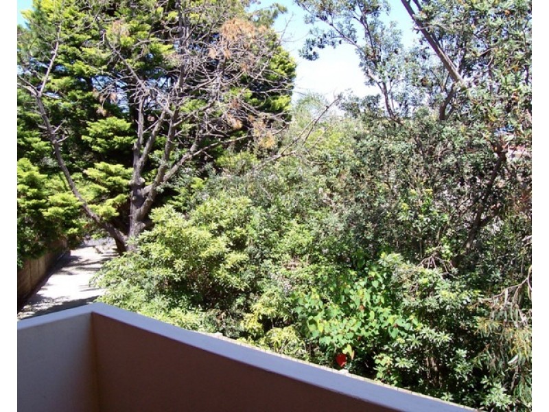 1/18 Evans Street, Freshwater NSW 2096