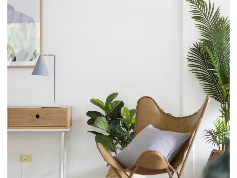 4/6 Regent Street, Dee Why NSW 2099