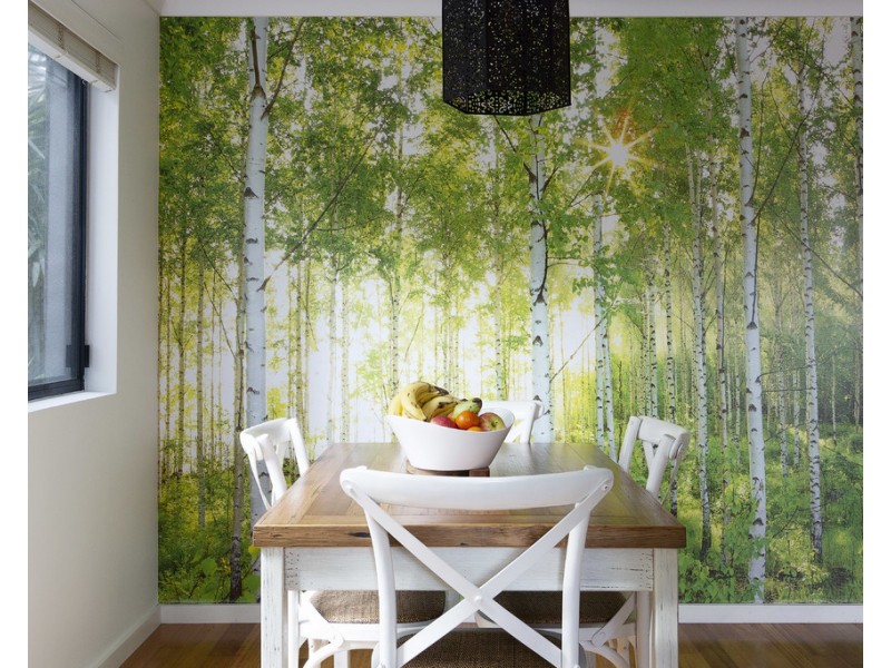 4/11-17 Quirk Road, Manly Vale NSW 2093