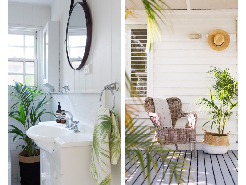 57 Wyndora Avenue, Freshwater NSW 2096