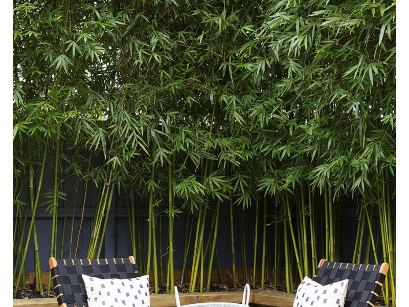 13/153 Garden Street, Warriewood NSW 2102