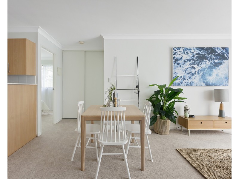 15/74 Old Pittwater Road, Brookvale NSW 2100