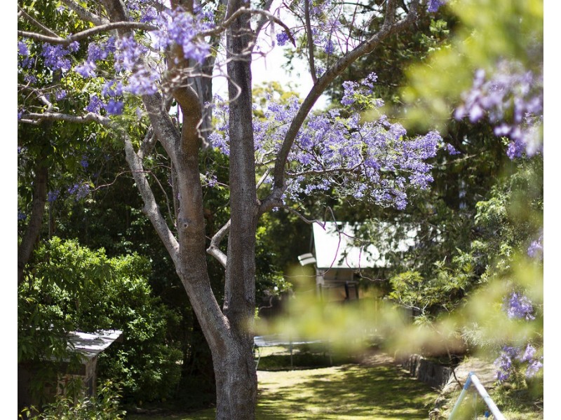 38 King Street, Manly Vale NSW 2093