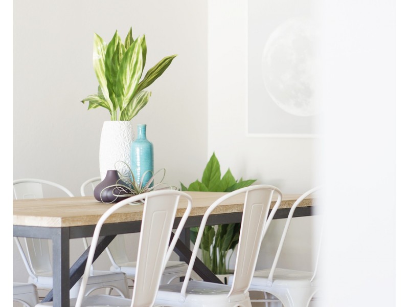 14/24 Banksia Street, Dee Why NSW 2099