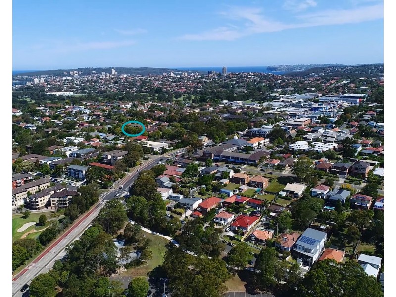 17 Lovett Street, Manly Vale NSW 2093