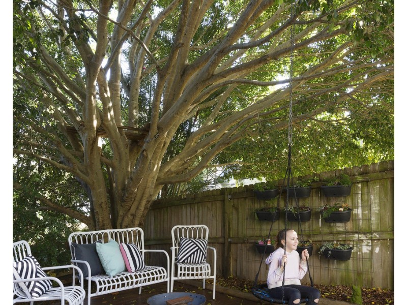 41 Lewis Street, Dee Why NSW 2099