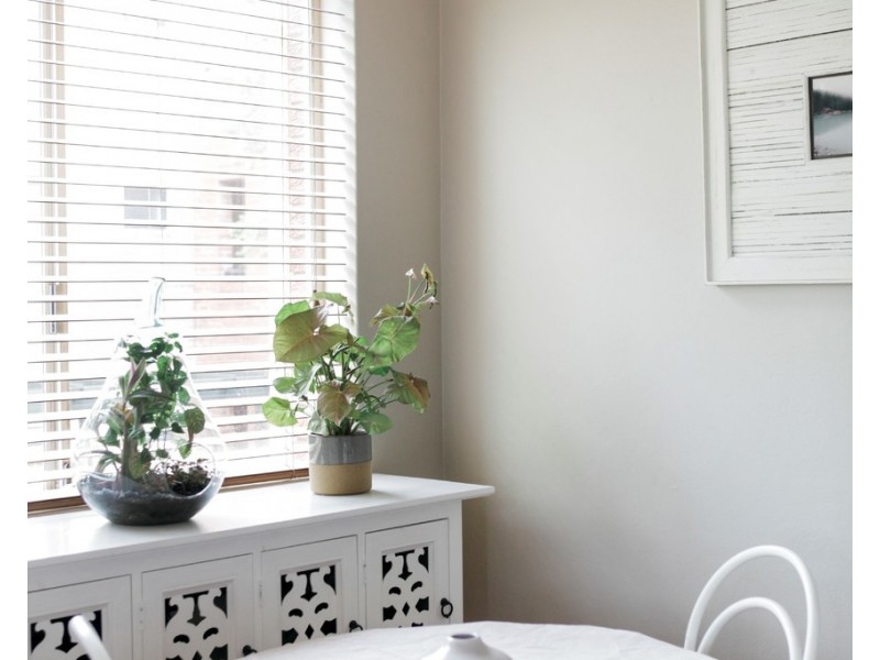 1/60 Kenneth Road, Manly Vale NSW 2093