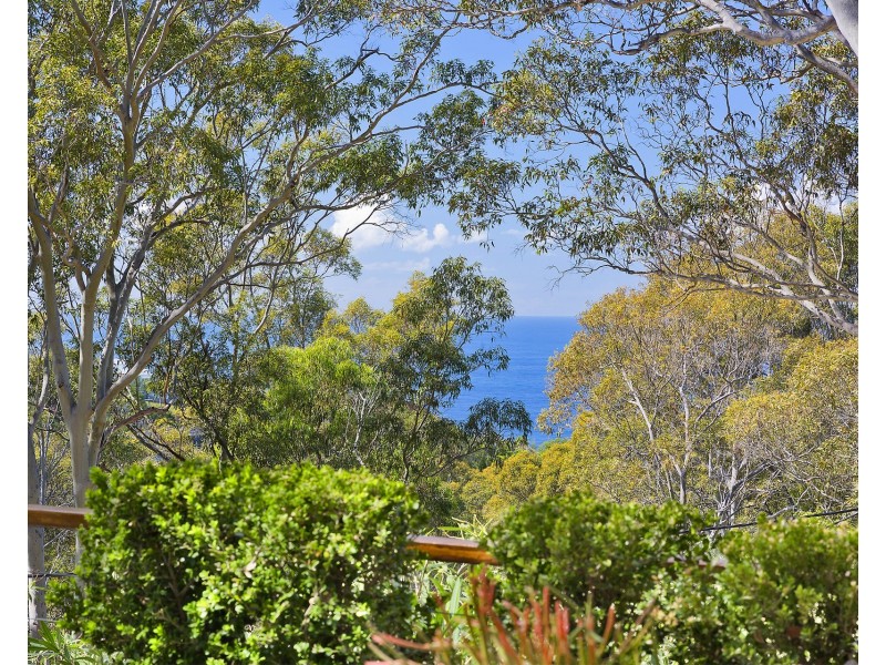 141 Grandview Drive, Newport NSW 2106