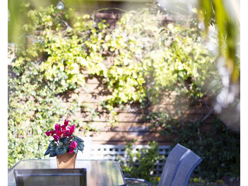 17 Fitzroy Road, Cromer NSW 2099