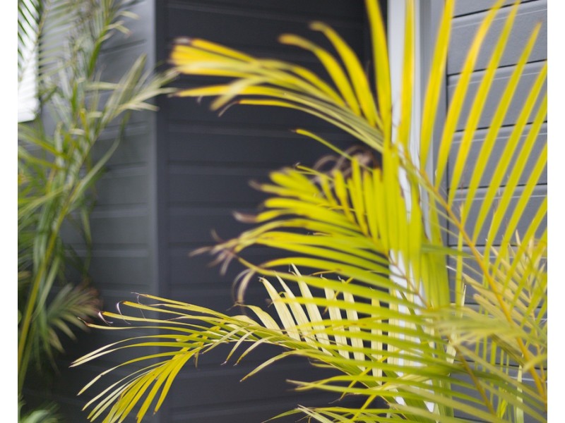 14 Laurie Road, Manly Vale NSW 2093