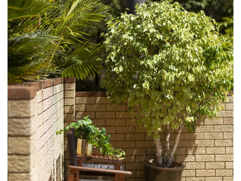 38 Nandi Avenue, Frenchs Forest NSW 2086