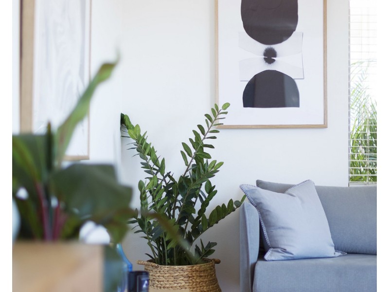 7/100 Oaks Avenue, Dee Why NSW 2099