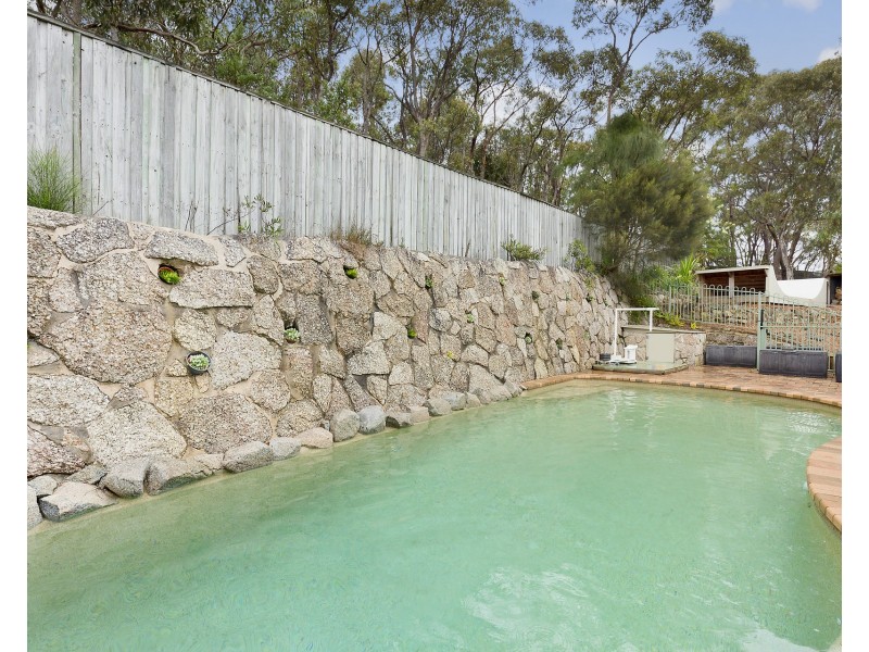 4 Charlotte Place, Beacon Hill NSW 2100