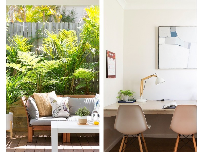 19 Woodbine Street, North Balgowlah NSW 2093