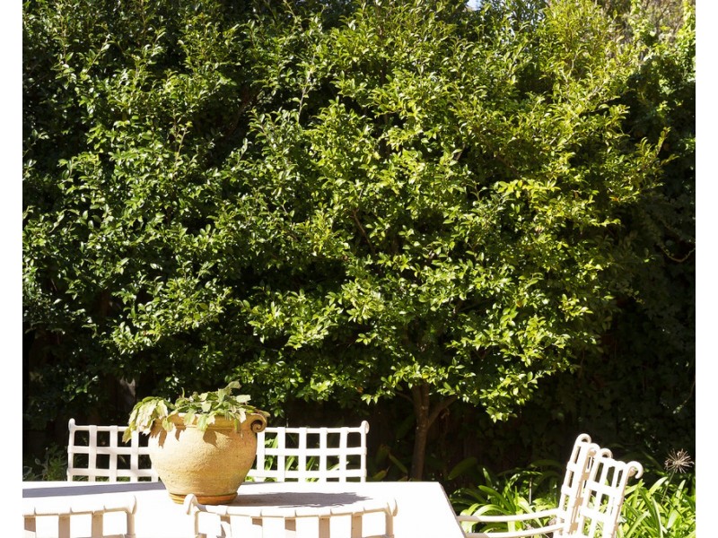 1 Gloucester Street, North Balgowlah NSW 2093