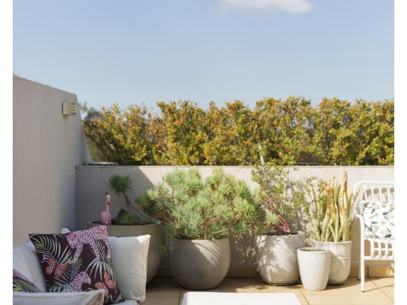 15/295 Condamine Street, Manly Vale NSW 2093