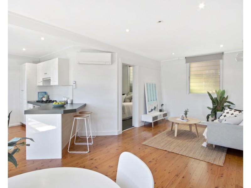 24a Carew Street, Dee Why NSW 2099