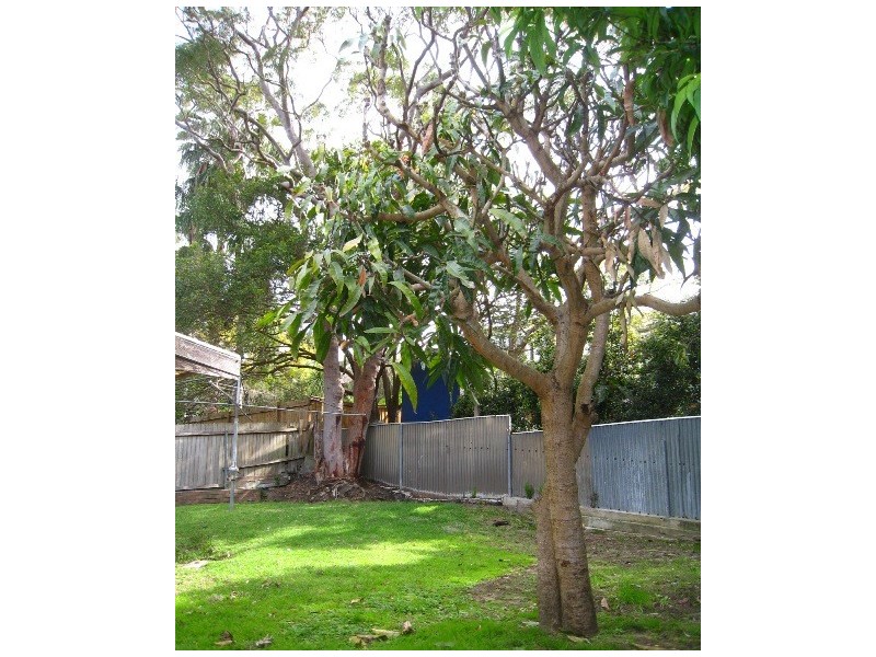 81 Clontarf Street, Seaforth NSW 2092