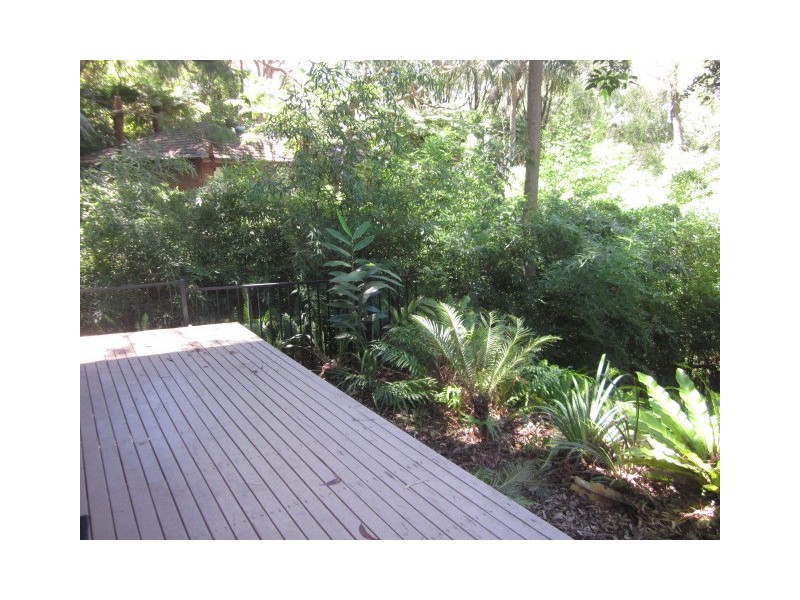 41 Ryan Place, Beacon Hill NSW 2100