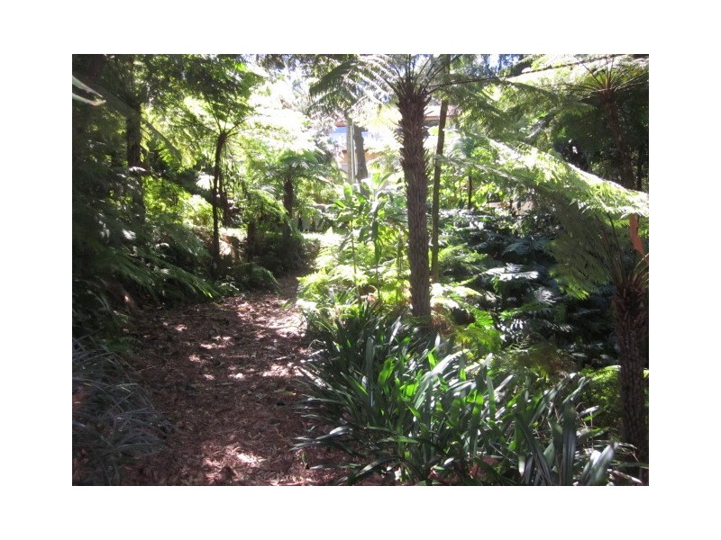 41 Ryan Place, Beacon Hill NSW 2100